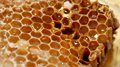 Восстановление и ремонт пчеловодческой пасеки